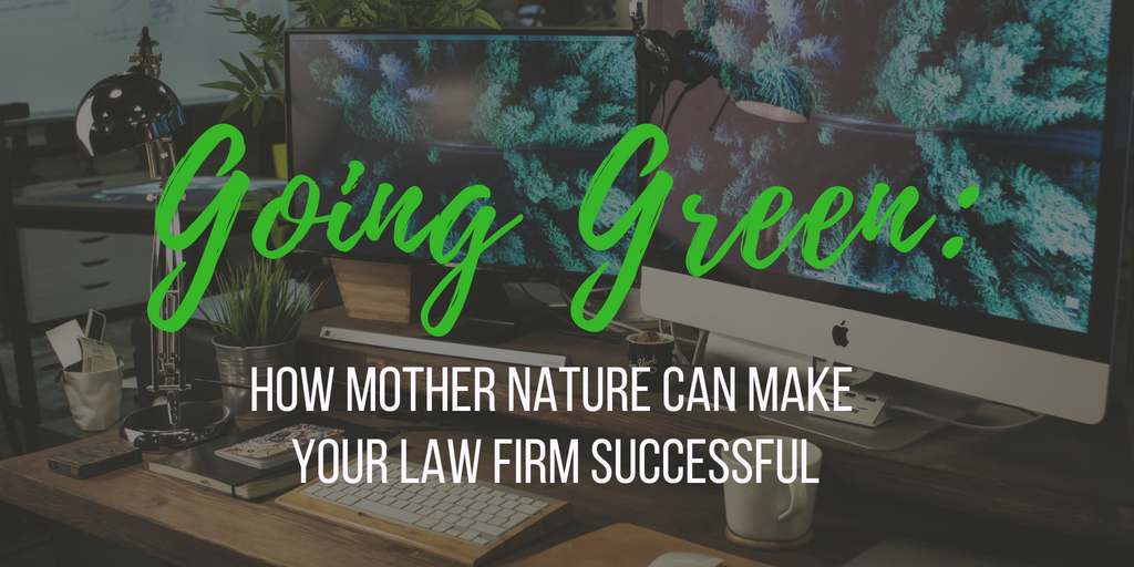 Going Green: plant-filled law office desk